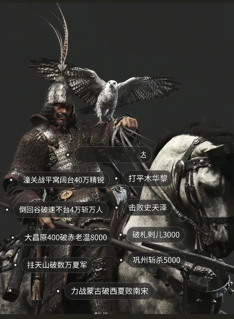 金国这个少数民族，才是真正的直到亡国都一直很能打！[大笑]血性不失，重骑无敌！