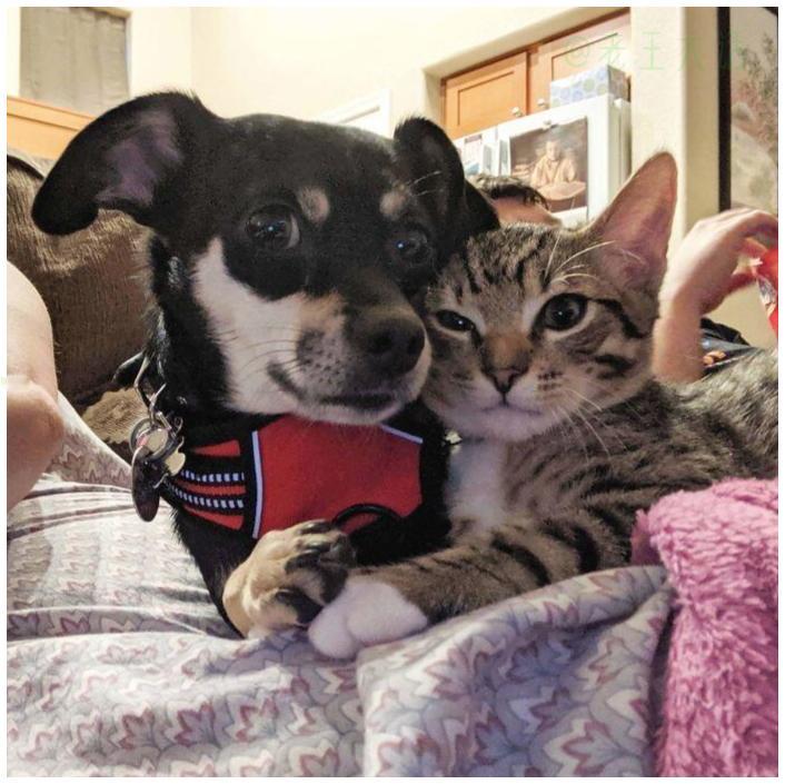 咱俩天下第一好+⁺🦴🐾₊⁺ 