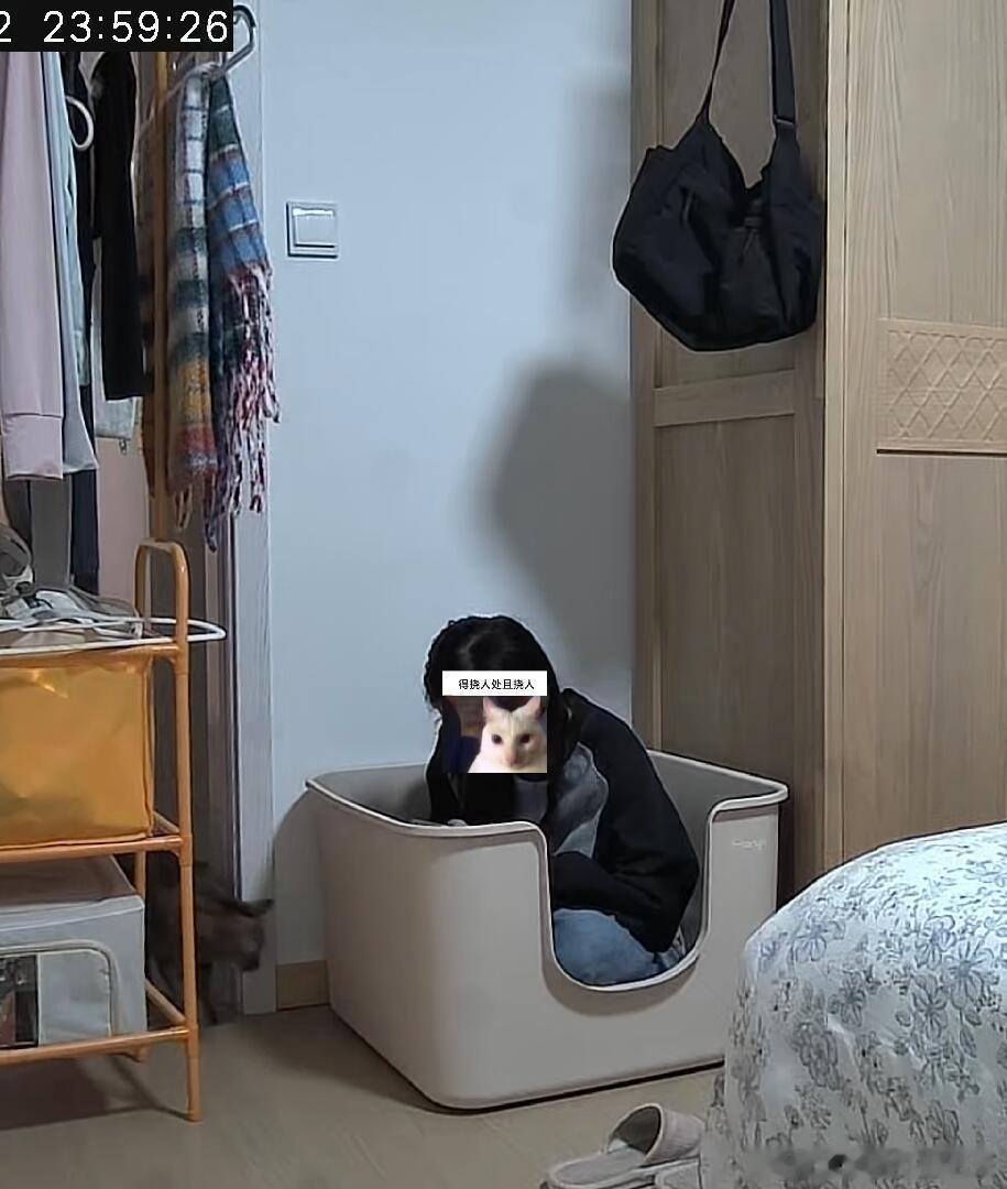 不看尺寸买猫砂盆=人砂盆 ​​​