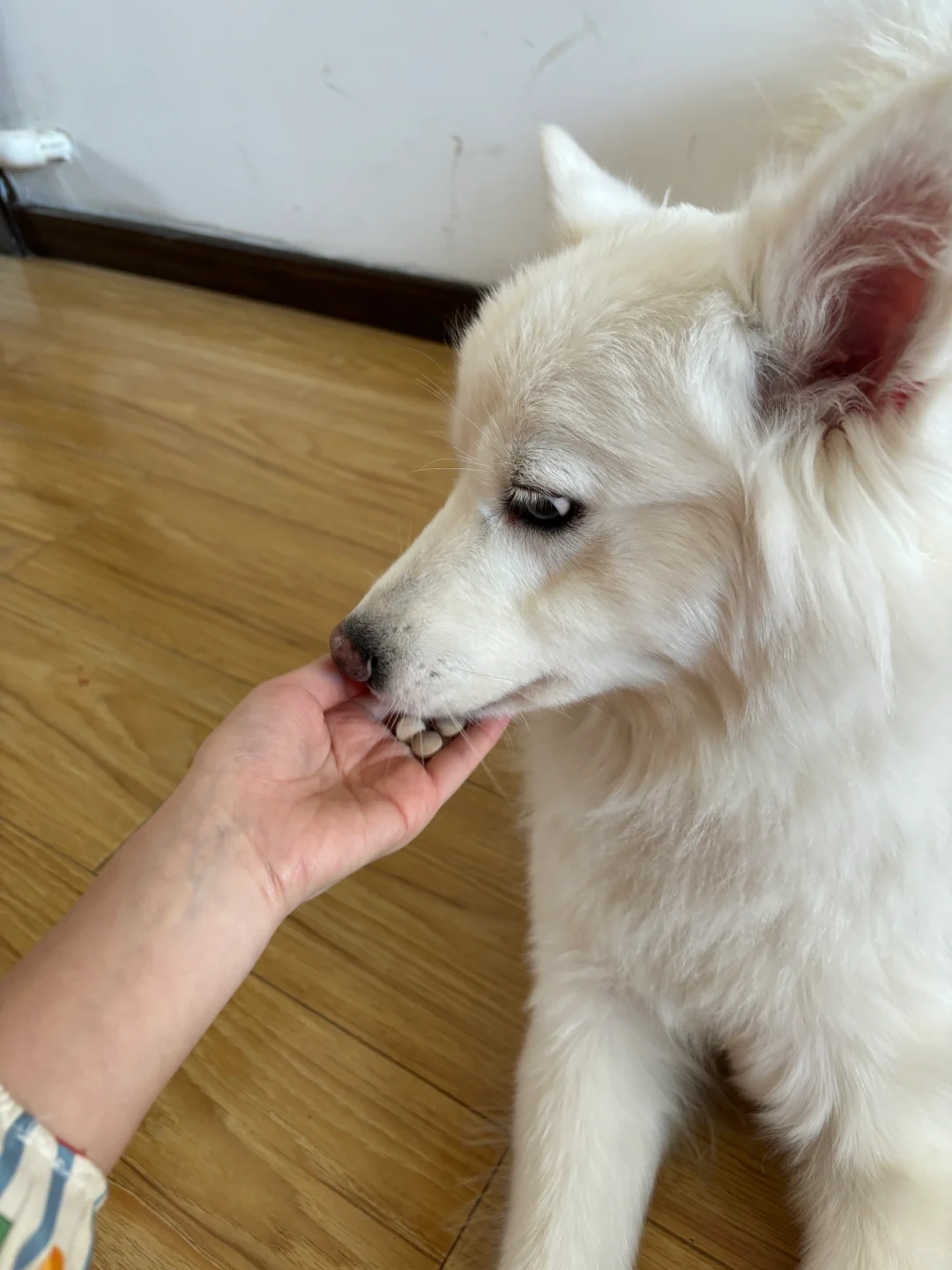 守护好每个心心❤️