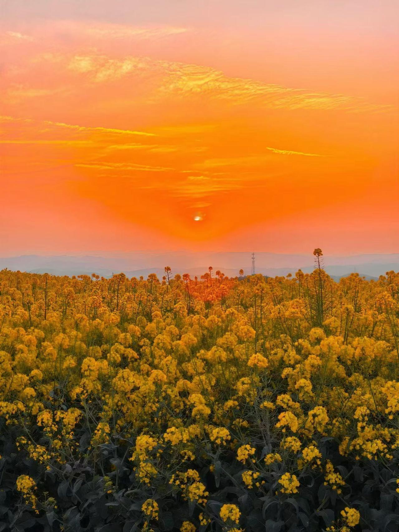 贾平凹在文坛的地位怎样?
他的文坛地位或者说是社会地位
有点像坐过山车…
先仰后