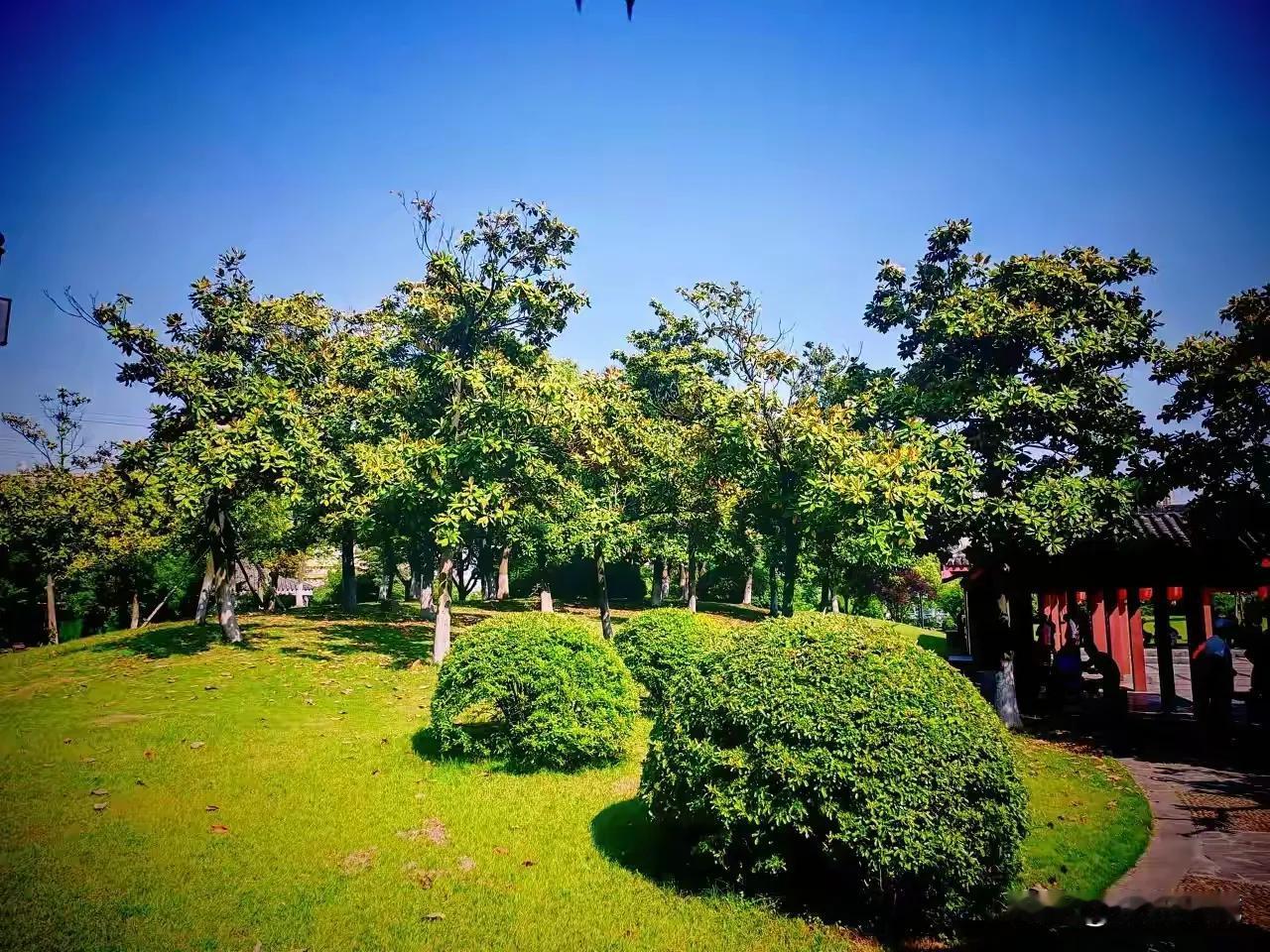 多年前我们结婚的时候，我自己上班攒的钱给自己买了一条金项链，我婆婆说我有金项链了