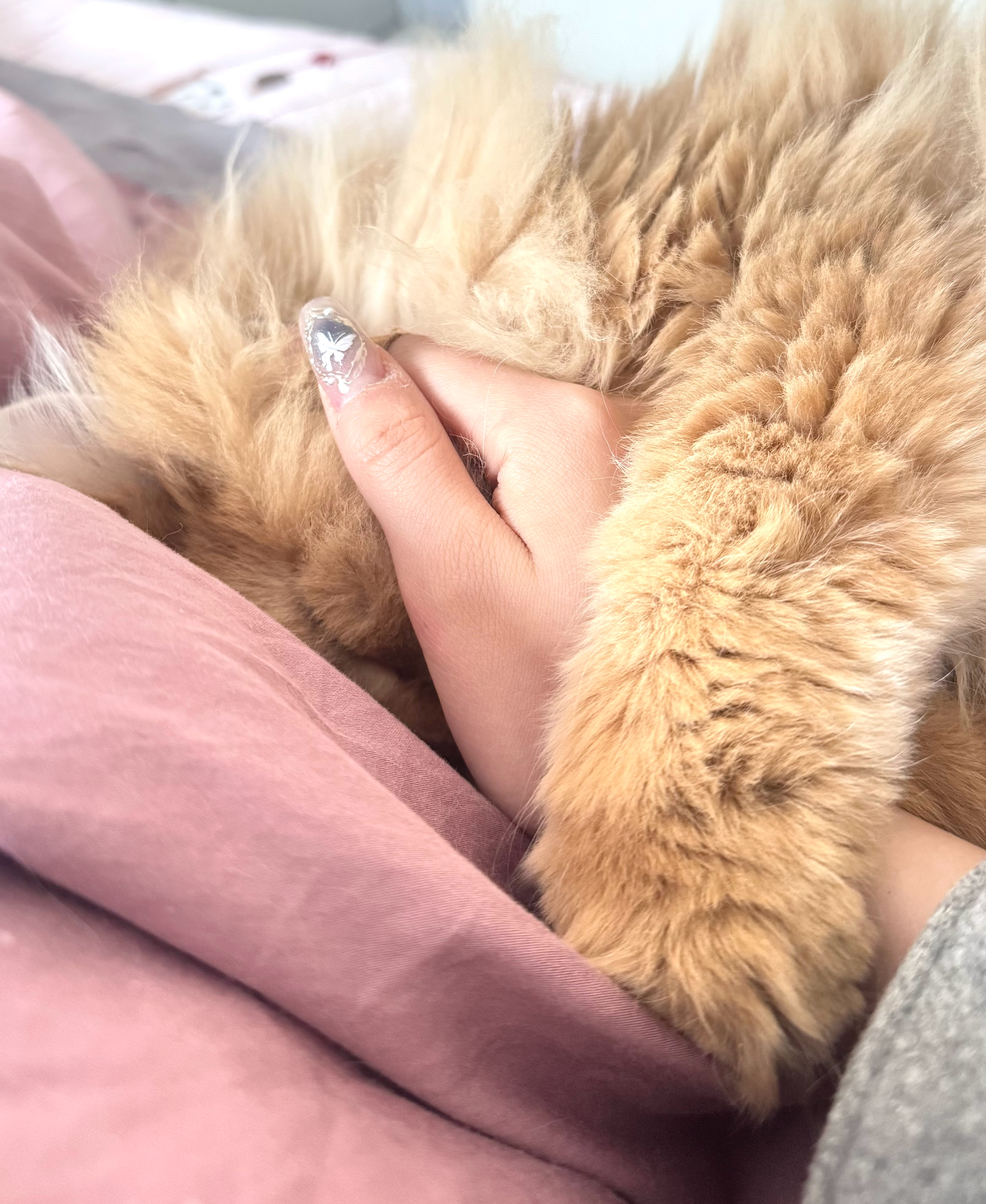 就这样抱着我手睡着了，不敢动，根本不敢动 