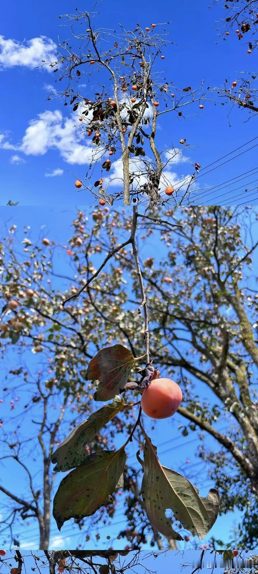 真是林子大了什么人都有！
 表姐订婚彩礼谈的3.18w，
我订婚婆婆家给了10W