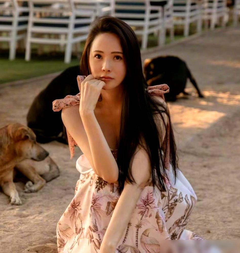 都以为秦昊快被伊能静的嘴说疯了，可他那句“狗话没你多”，直接把我干沉默了。
伊