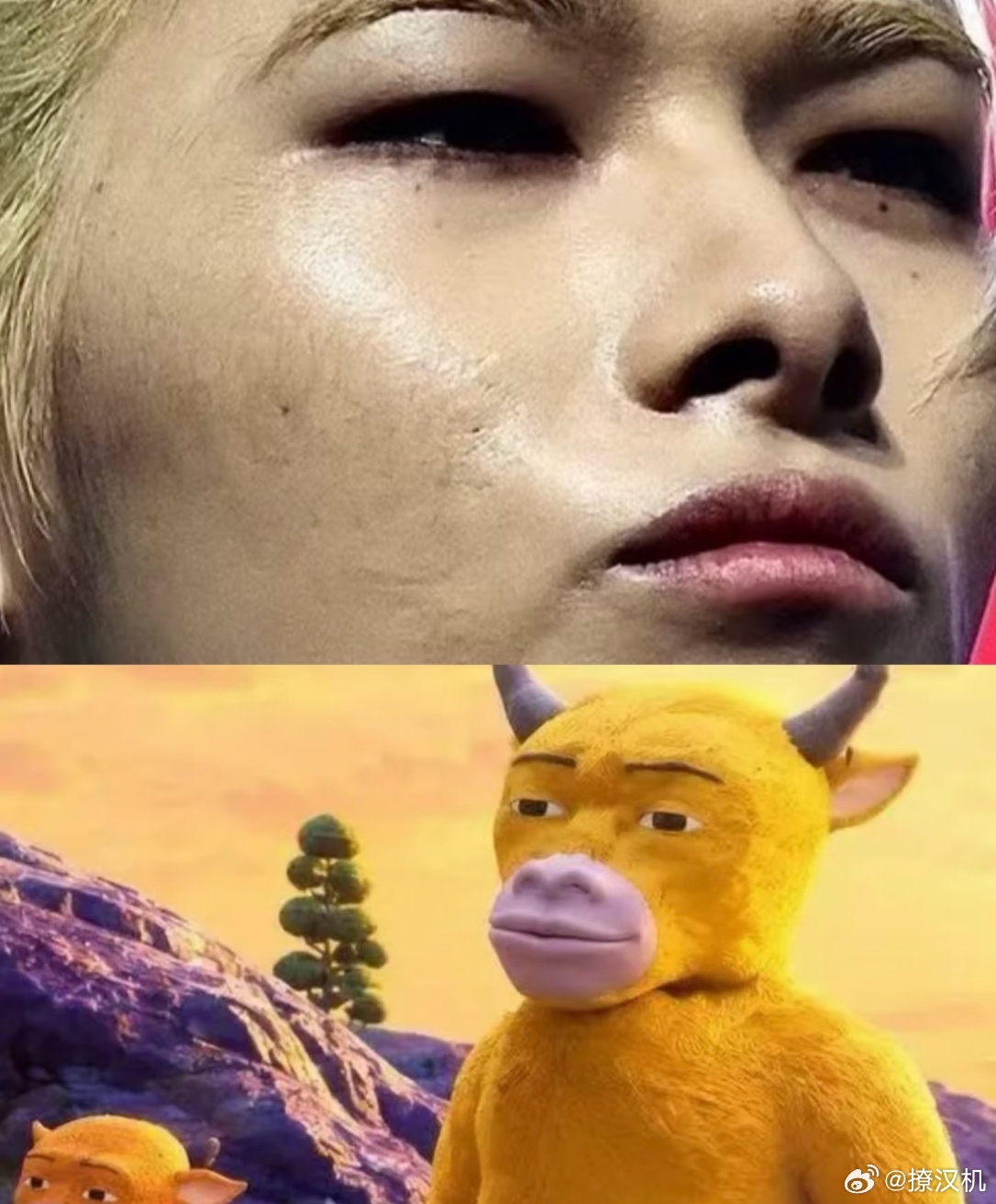 别人做爱豆，西村力做纳豆 