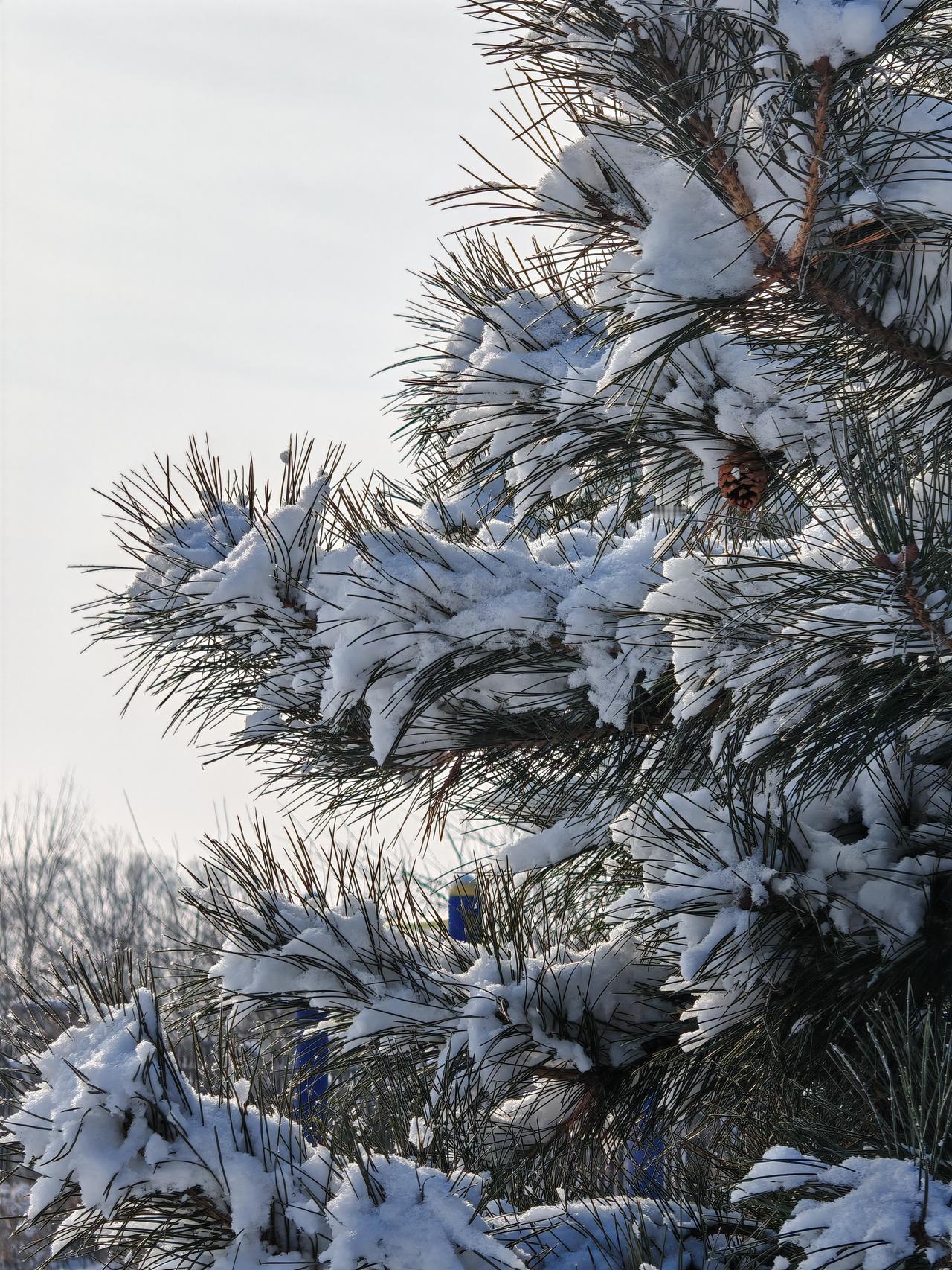 与痛风斗争的历程109
 
   早上起床，天气晴。浑身各关节感觉还算顺畅，只是