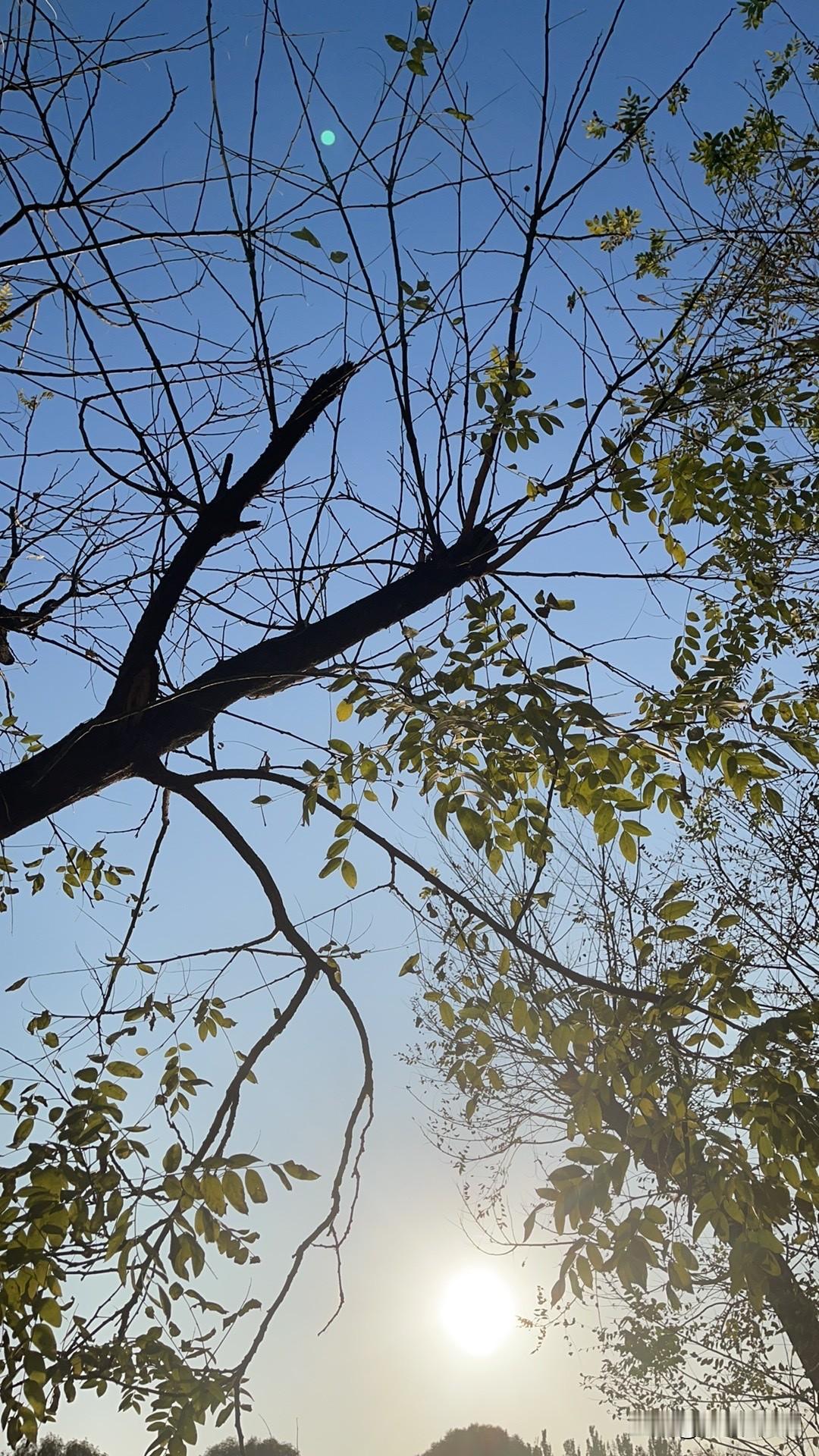 看话剧之前，在咖啡厅里要了一杯咖啡，一个芝士，芝士也就婴儿的脚丫那么大，咖啡也就