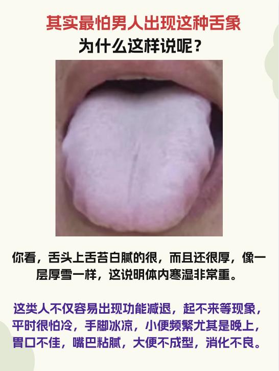今日舌象分析