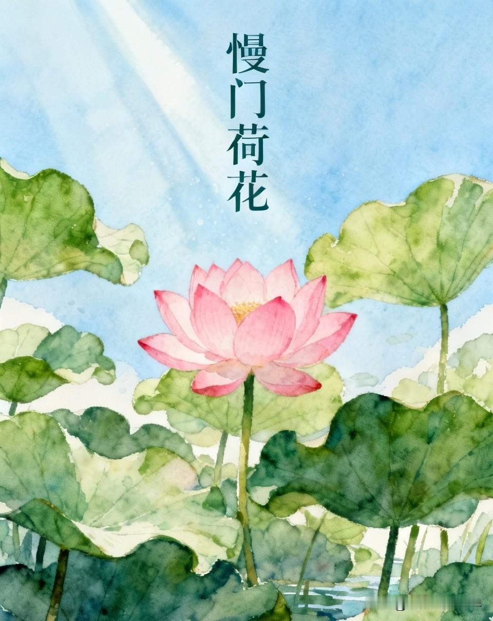 慢门拍流水拍车流，慢门也可以拍荷花，把荷花的美玩出了新高度。就像有的摄影师用慢门