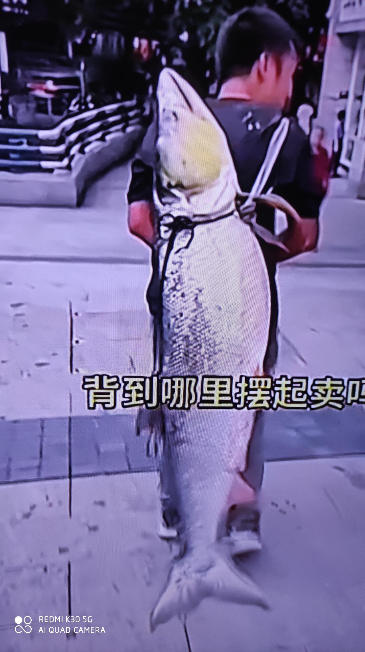 我长这么大，头一次看到这么大的鱼。这是重庆一小伙花了1个多小时钓上来了，重79斤