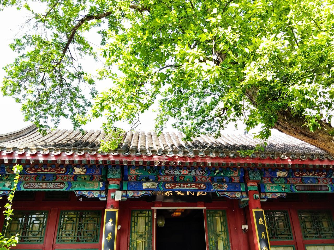 膏药味儿引发的与陌生人聊天
我肩颈不舒服贴了块膏药（通络去痛膏），出门坐公交外出