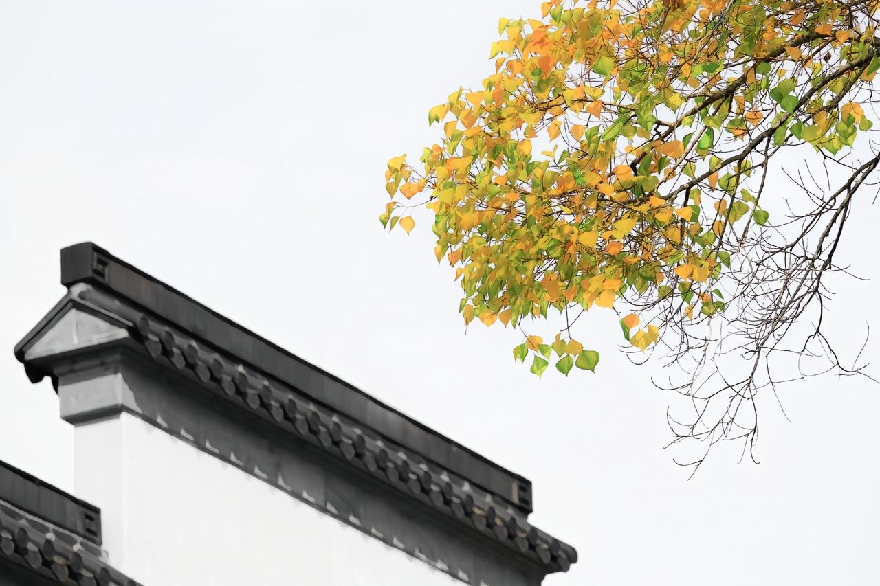 如今孩子存在的一大问题是生活条件过于优渥，他们没有经历过贫困生活，缺乏从底层奋斗
