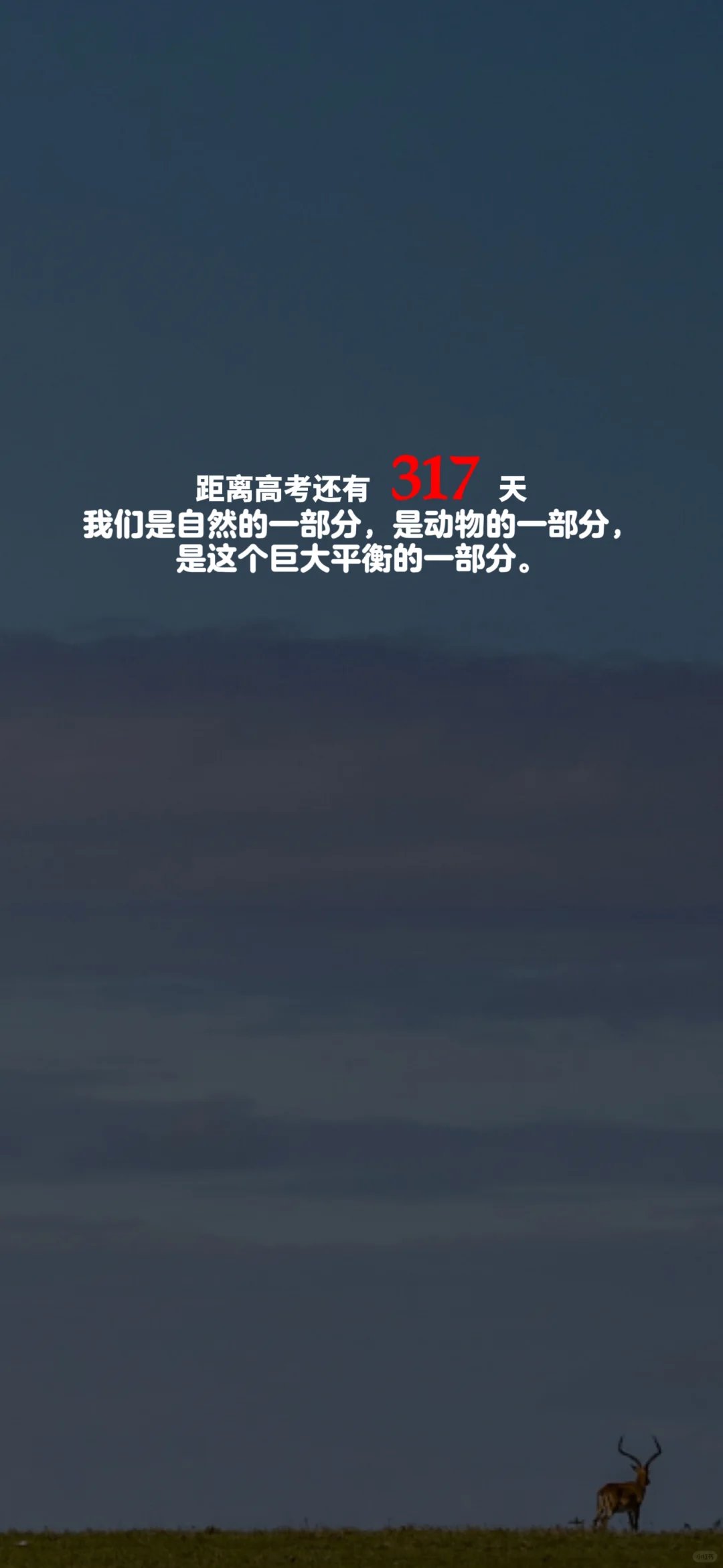 2025高考倒计时，每日更新。