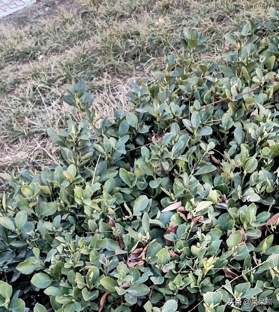 老一辈经常说，能吃能睡就是福！
以前我不懂这句话的意思，年龄大了，反而觉得这句话