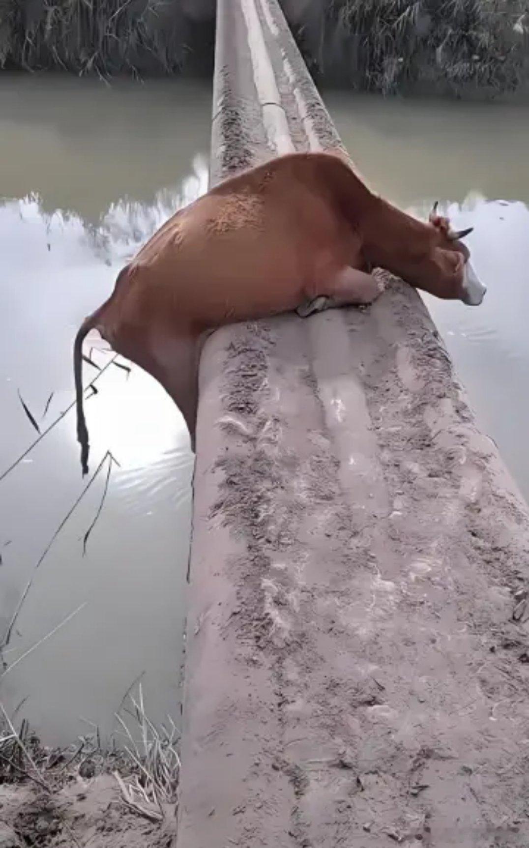 当前的股市现状… ​​​