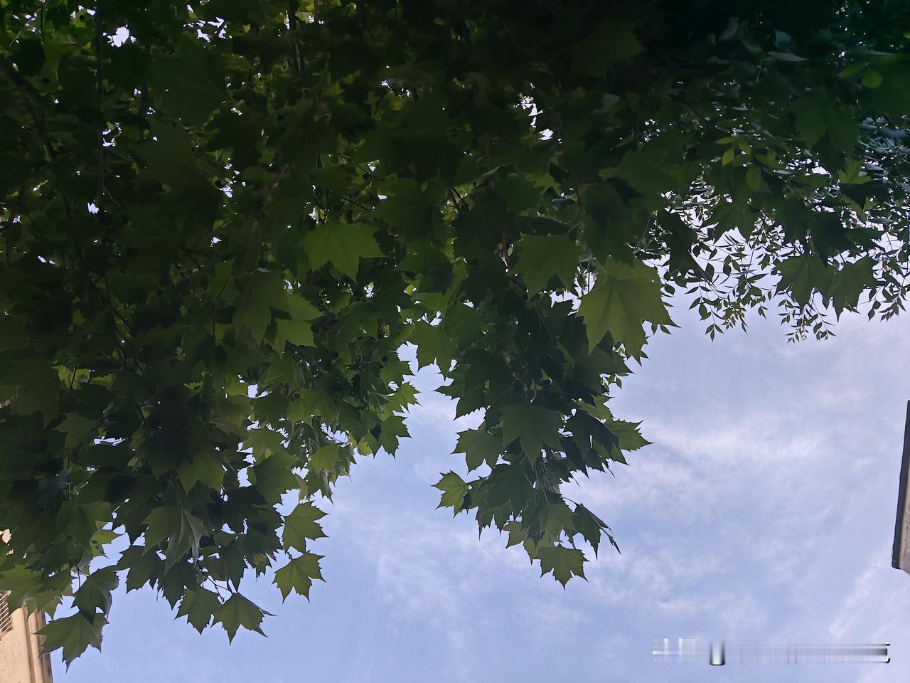 又是崭新的一天
一天
好心情
什么最重要
开心