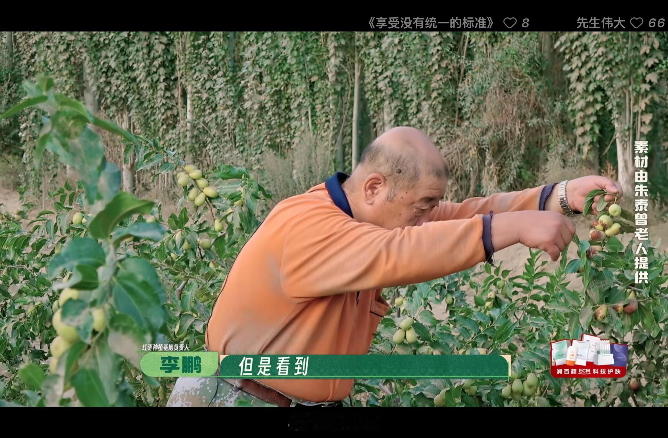十个勤天种地吧 谁教你这么拍节目的 要哭死我啊十个勤天‖种地吧 