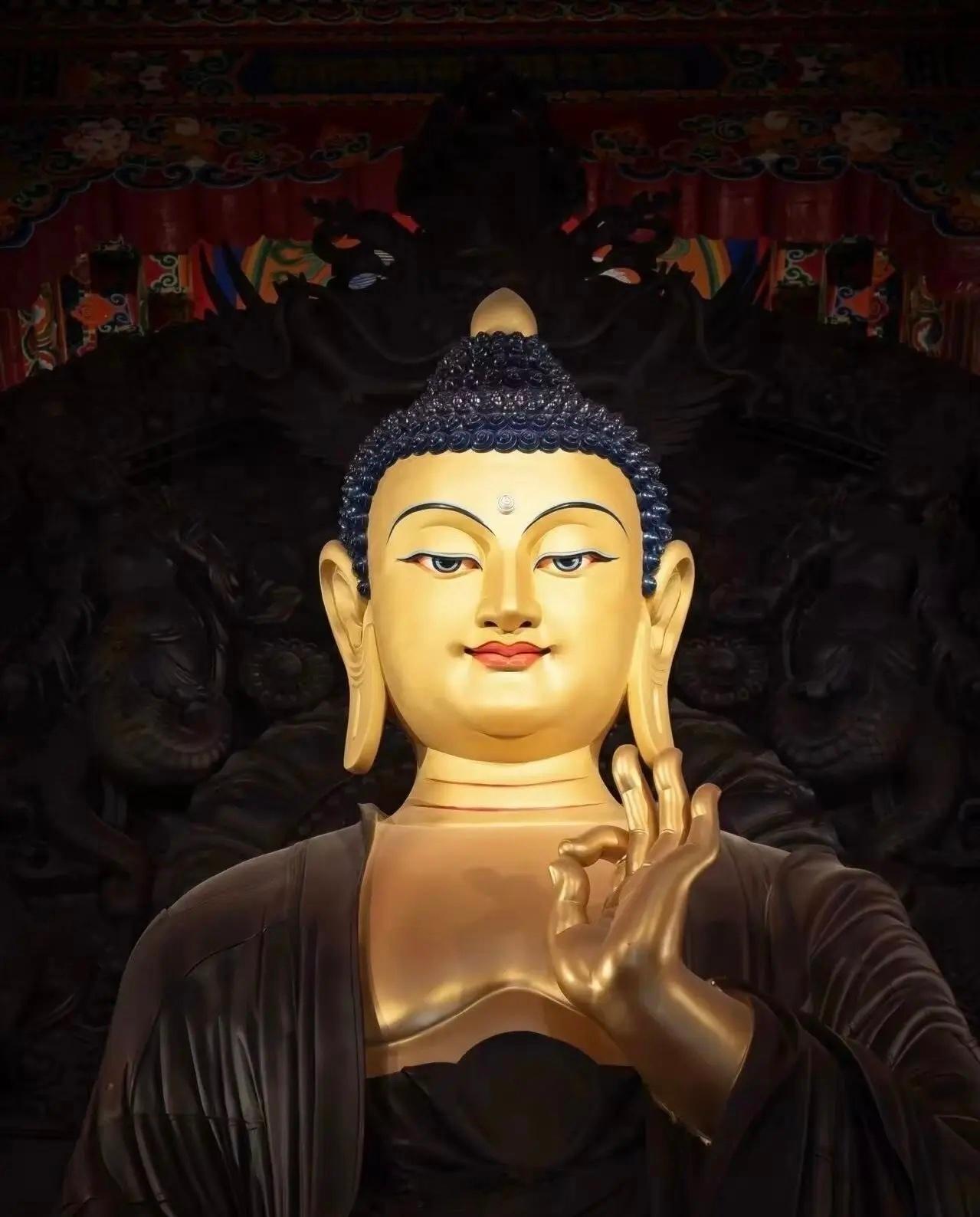 【许愿池第1525期】许愿祈福的时候到了，心诚则灵，有求必应🙏🙏🙏 
