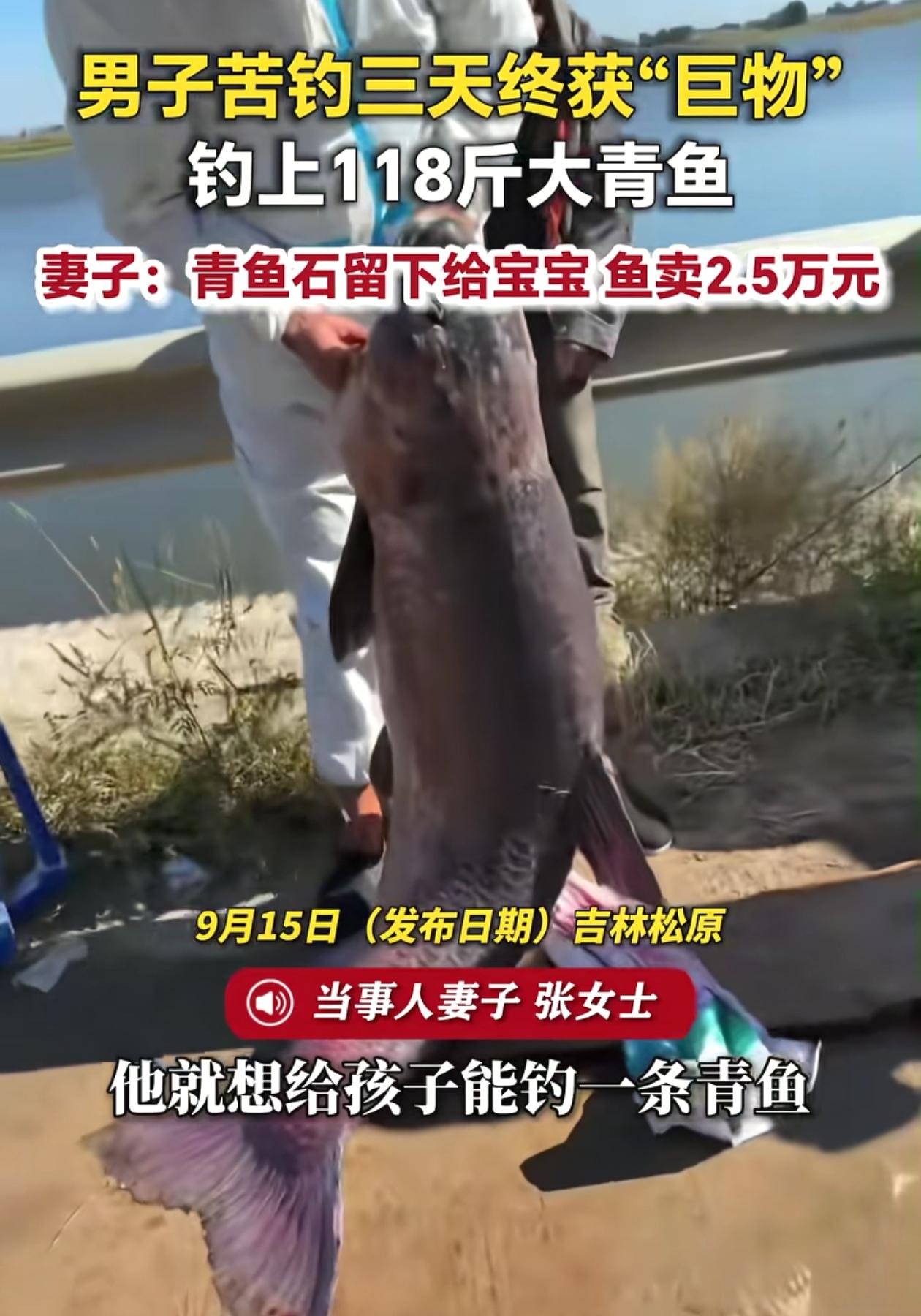 父爱的力量！吉林松原，男子听说宝宝戴青鱼石可以辟邪，拿起鱼竿连着钓了3天的青鱼，