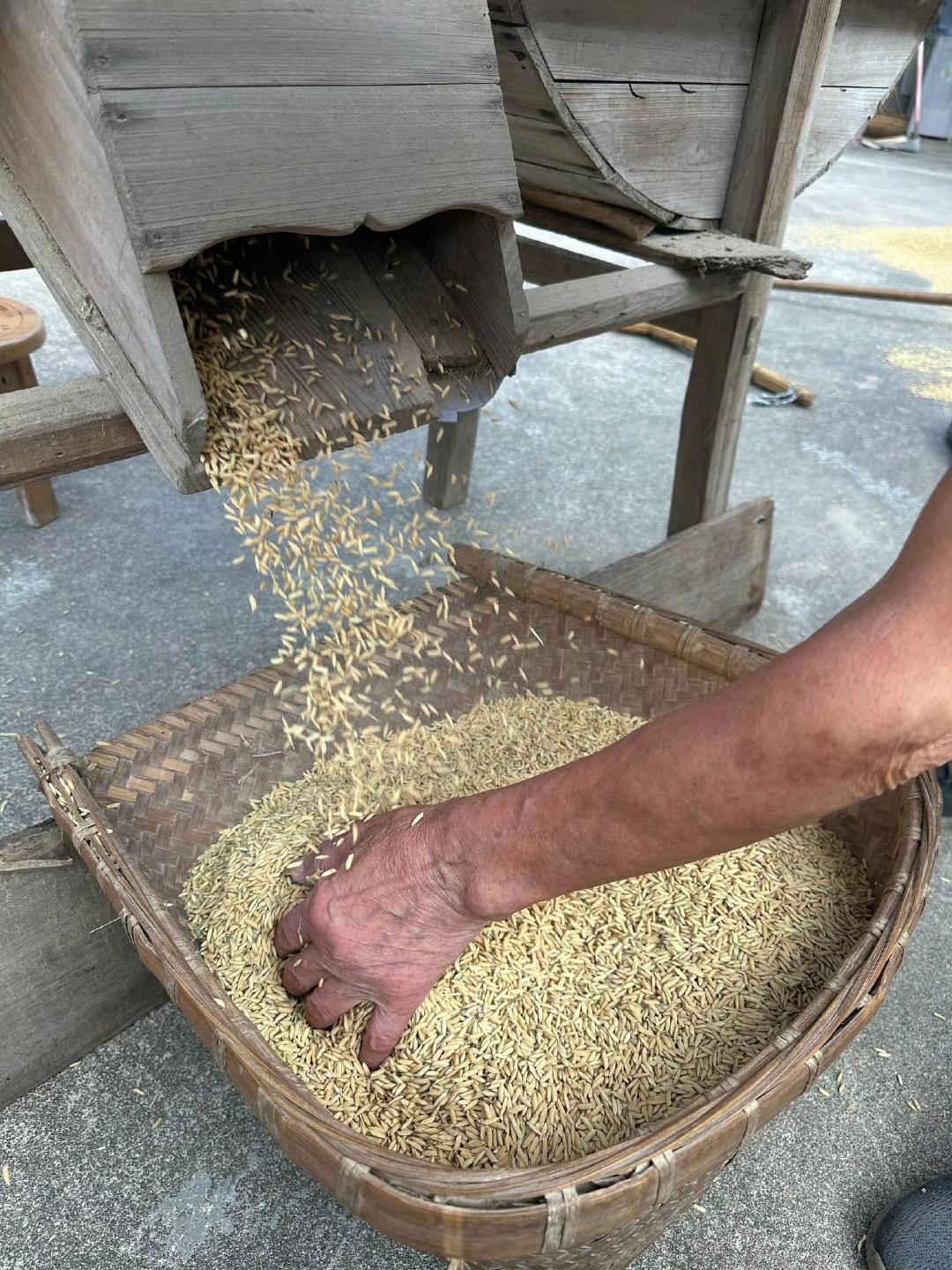 难得一见了，有谁知道这是在做什么吗？