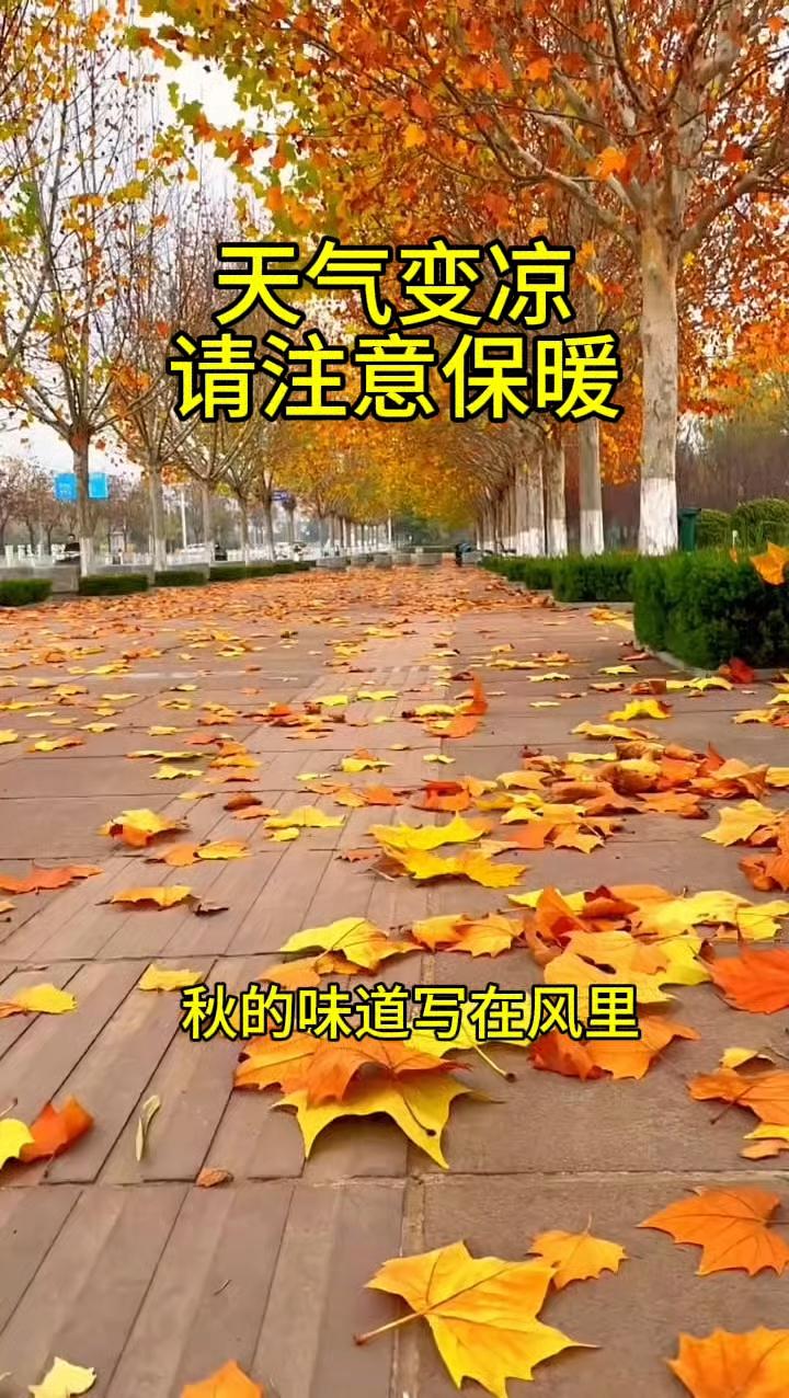 提醒大家一句，
都做好心理准备吧，
再过1天就是9月23日秋分，白露到秋分这段时