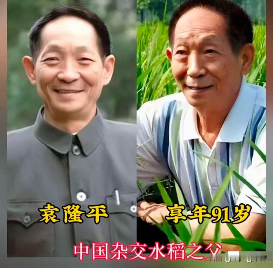 一张张跨越岁月的肖像，记录下几代科研先辈的人生轨迹。袁隆平俯身稻田，守住亿万百姓