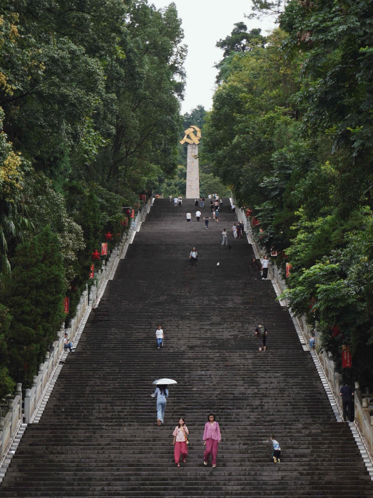 这条路有65000里，十余万人再也没回来🕯️