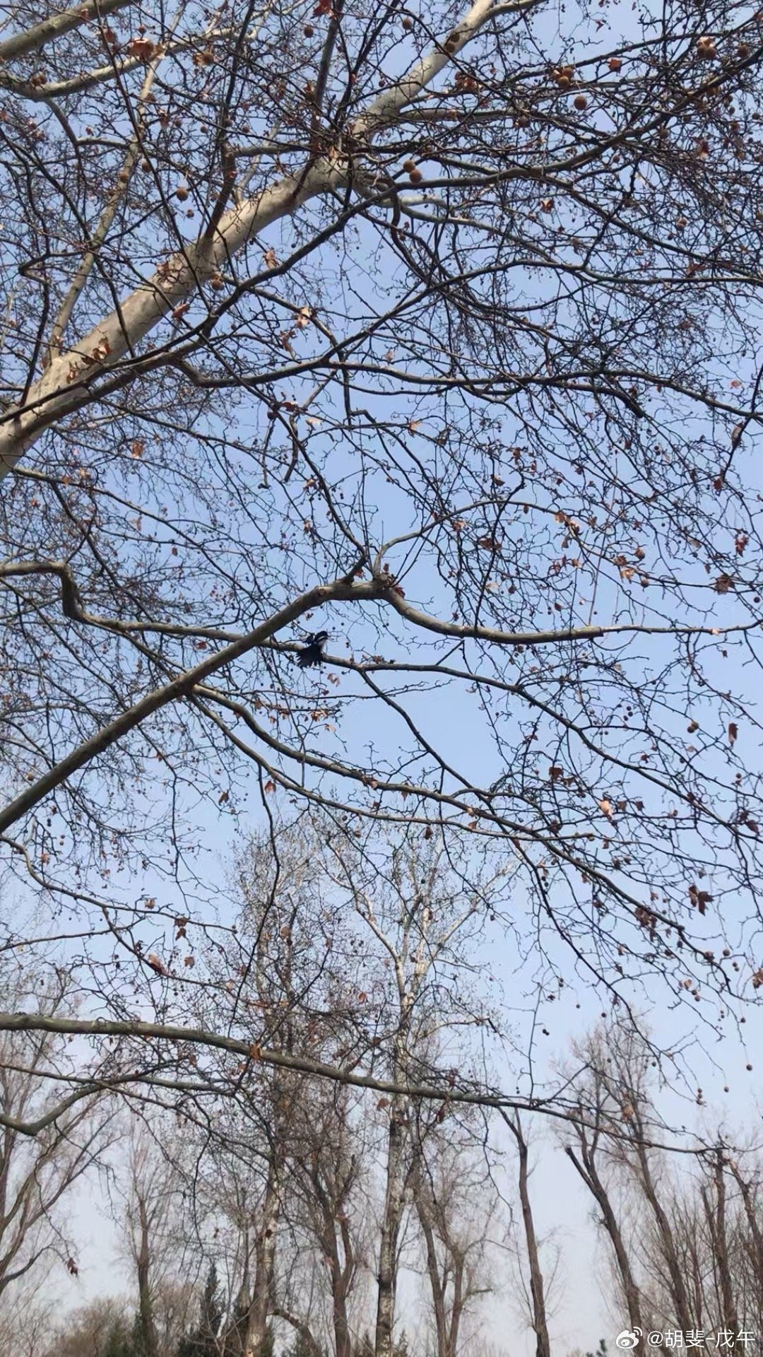 舍；即是得；不舍不得。 