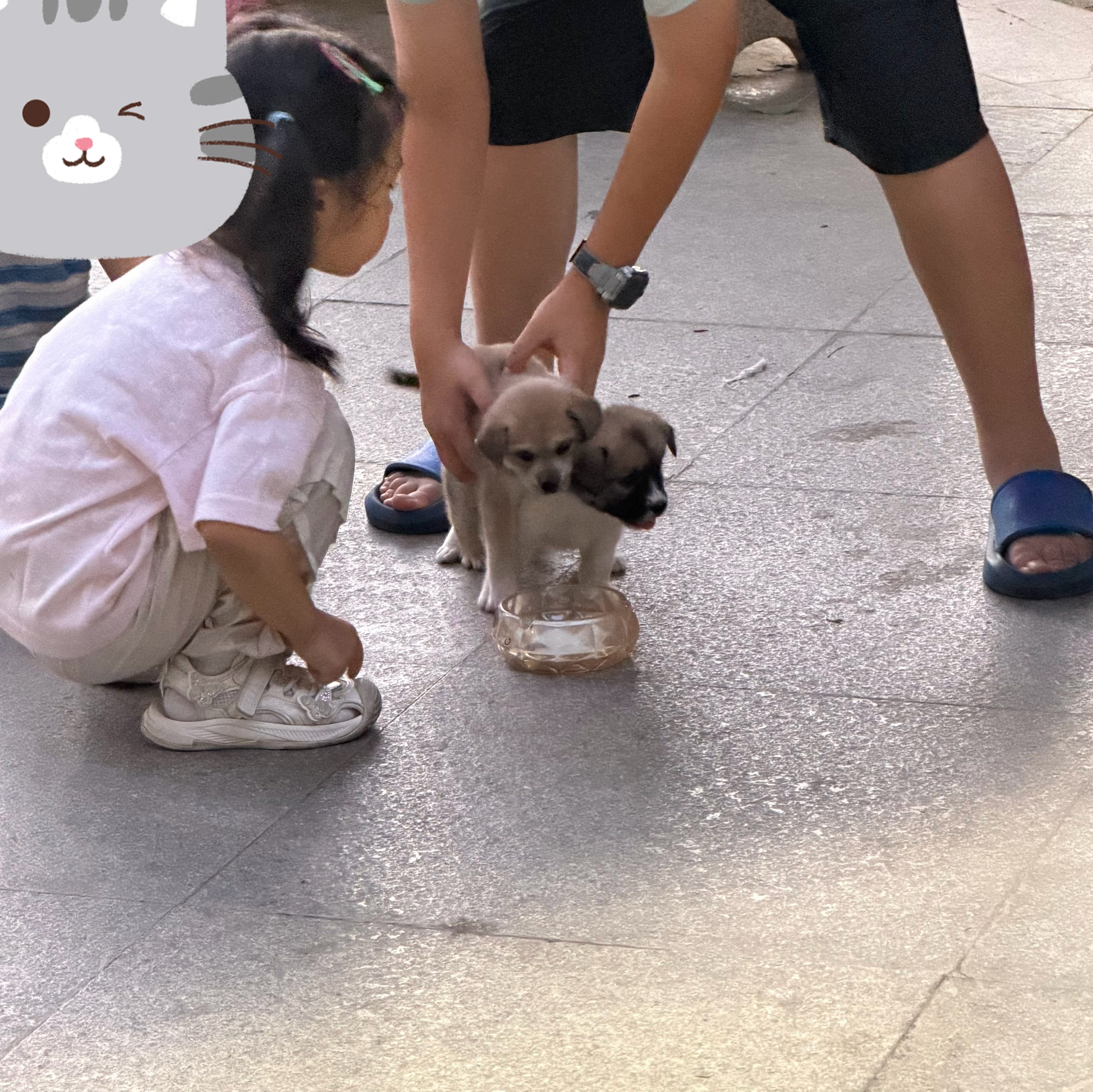 修狗真的好可爱