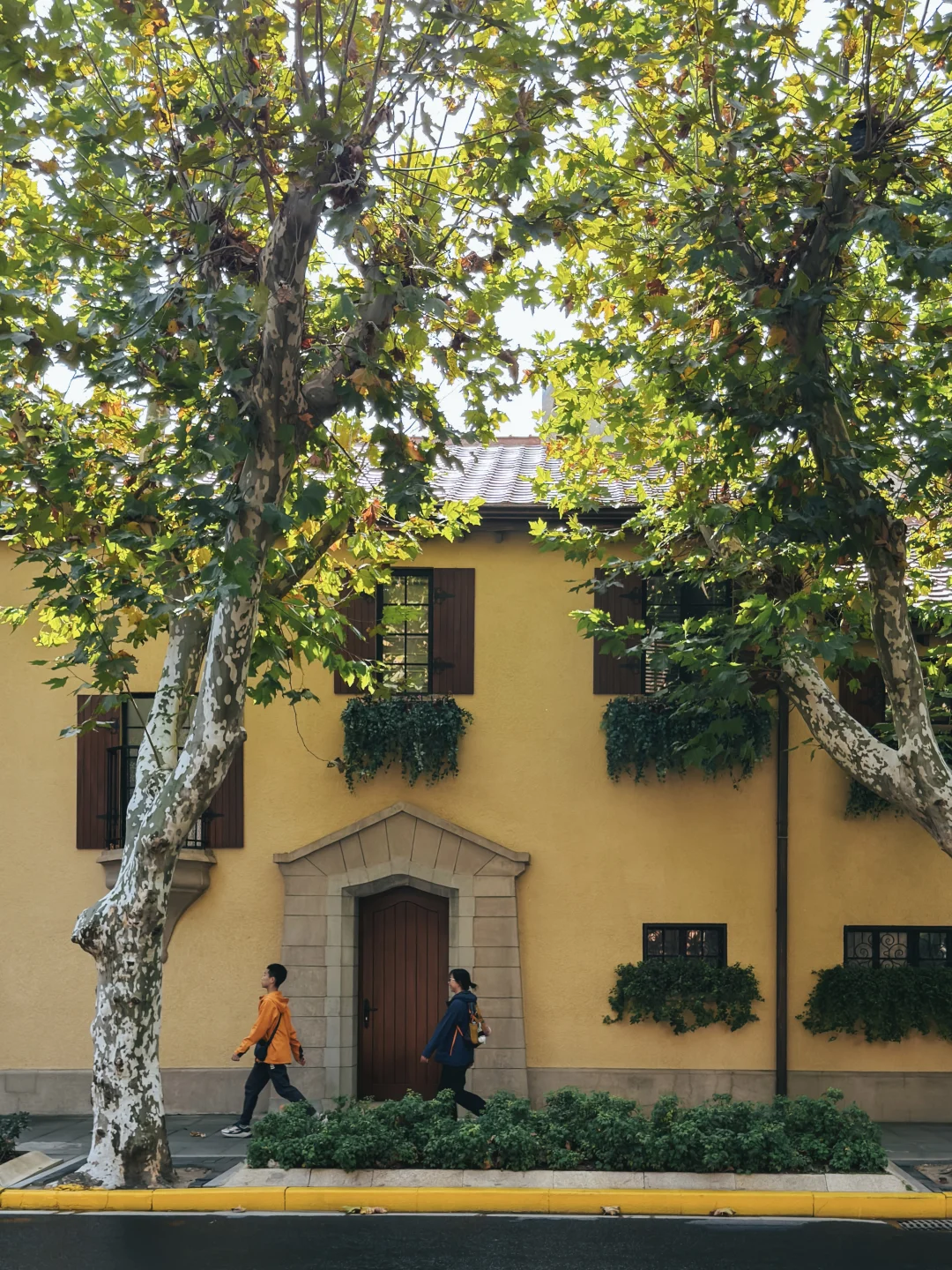 藏在街巷的秋日浪漫|上海citywalk