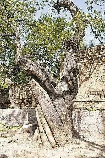 《岁月长歌，往昔难忘》
 
时光，宛如一条静静流淌的长河，悄无声息地载着我们从往