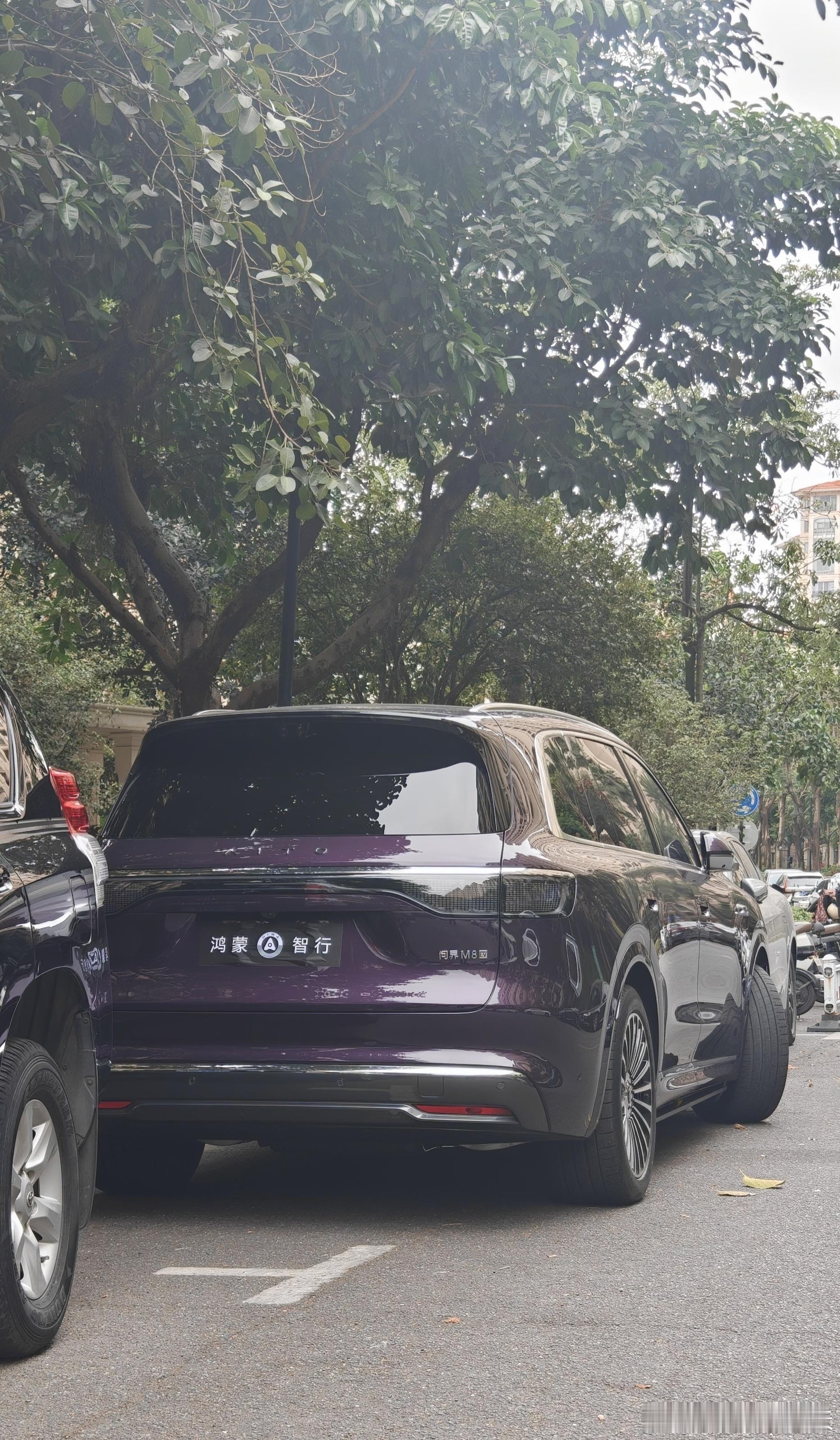 又有邻居买新车了，不仅是一台纯电的 M8，还是少见的紫色看实车，ta 是属于偏低