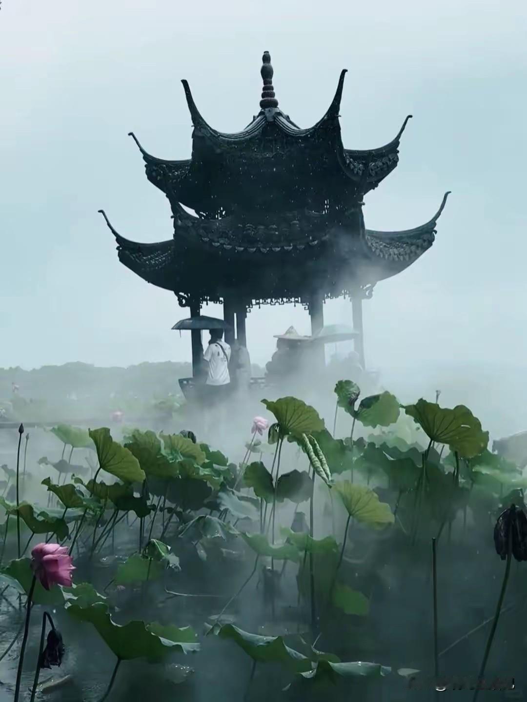 好想为此景写诗一首，可以文化不够高[捂脸]