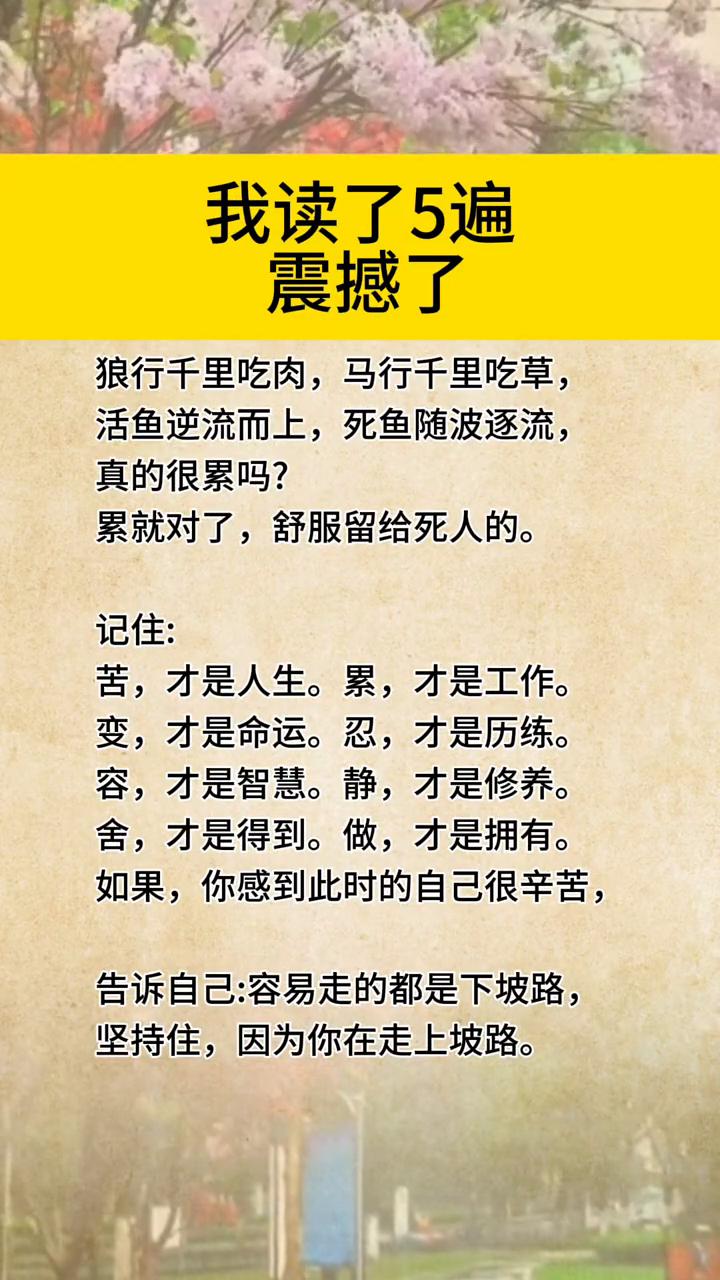 我读了5遍，震撼了。
狼行千里吃肉，马行千里吃草，活鱼逆流而上，死鱼随波逐流，真