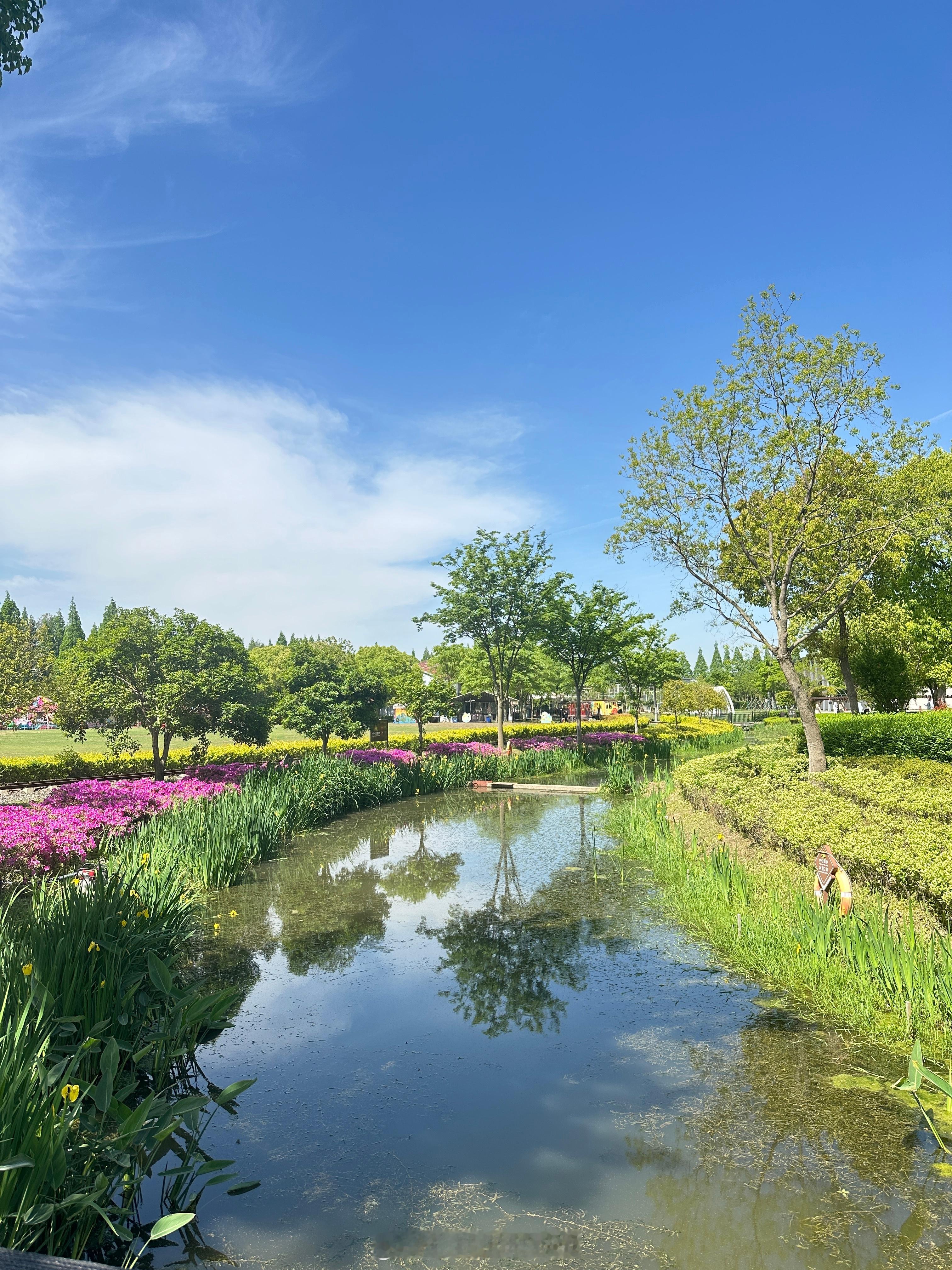 #盛夏光年# 走走走走走我们小手拉小手～走走走走走一同去郊游～白云悠悠 阳光柔柔