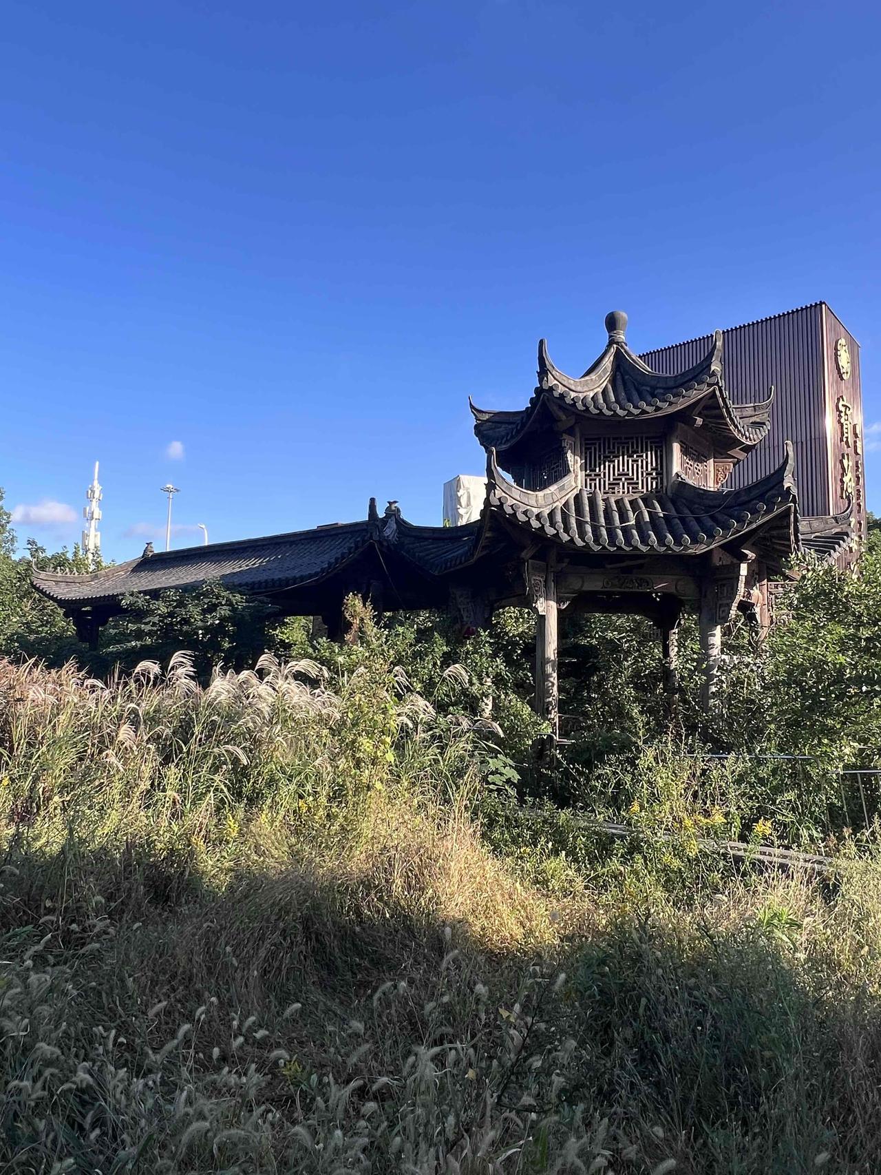 没有人的维护投入，就算是上海市中心内环里，野草疯长也一样荒凉成这样。
现在这么多