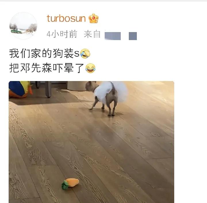 邓超icon被吓晕了[🤦

5月3日下午，孙俪icon在社交平台发文：“我们家