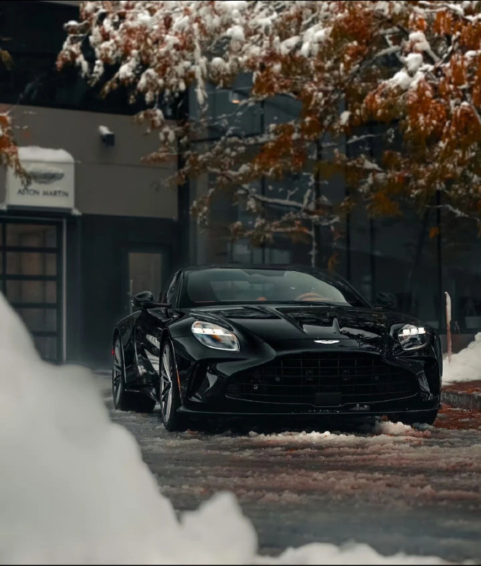 阿斯顿马丁 Vantage！ 除了不太保值外，真的找不出什么缺点。 