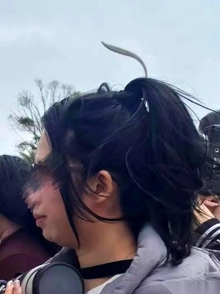 那个自称张继科铁粉的厦大女生，朋友圈被人扒出来了。
点开一看，管咱们的世界冠军孙