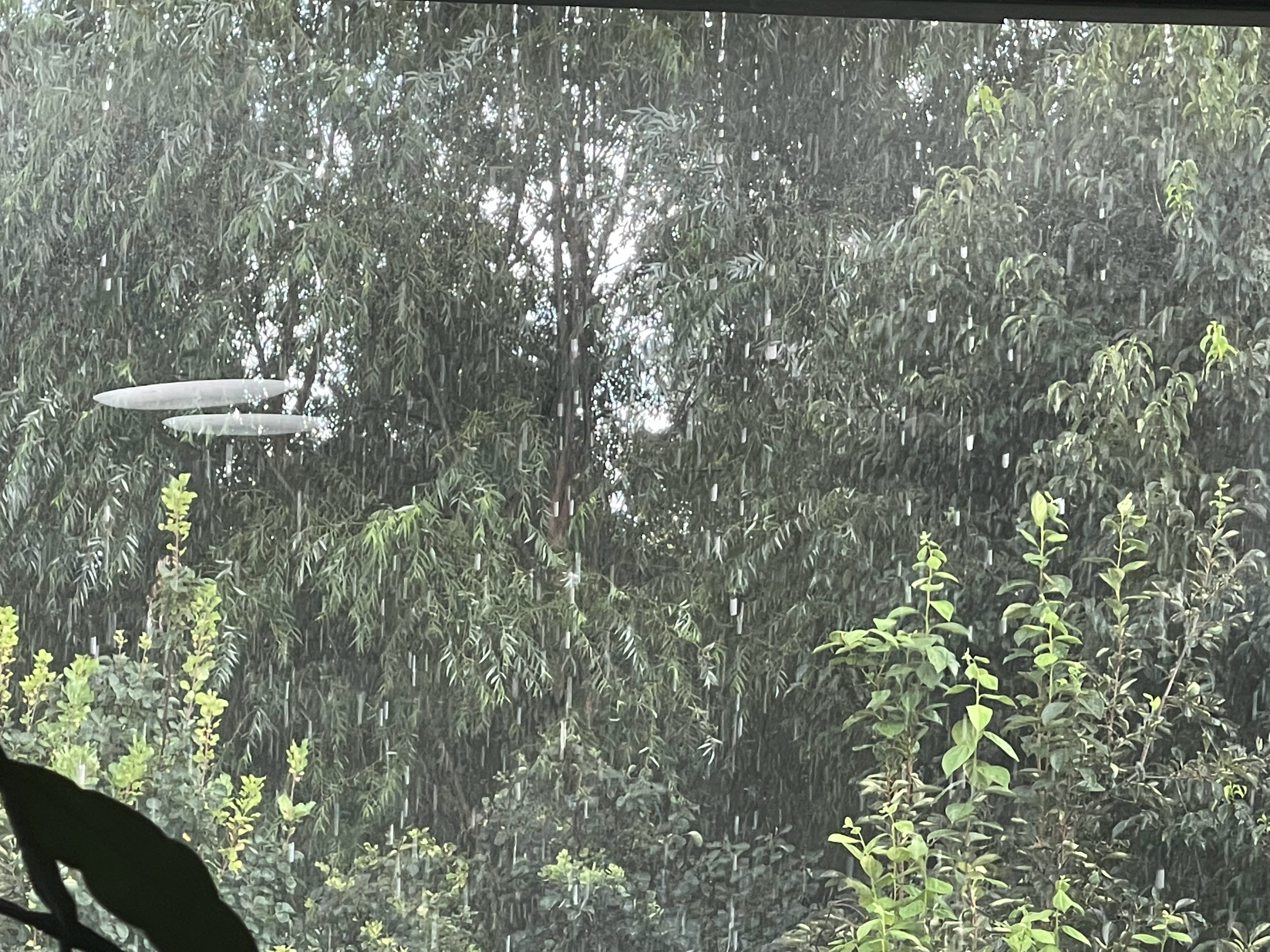 胖头莎昱_  早上起来还是蓝天白云的没一会儿乌云就飘过来了这雨下的是真大🌧️ 