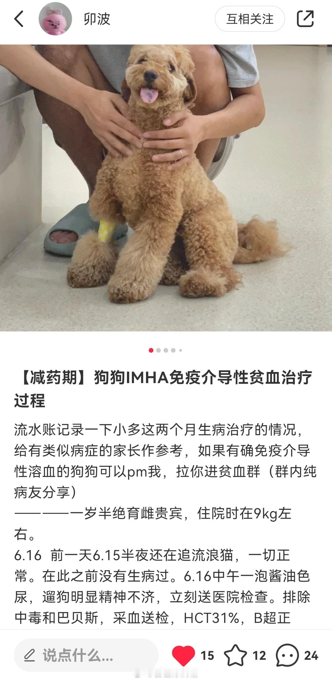 免疫性溶血的病例，我就是负责开中药的那个人。苏州卓越宠物医院  