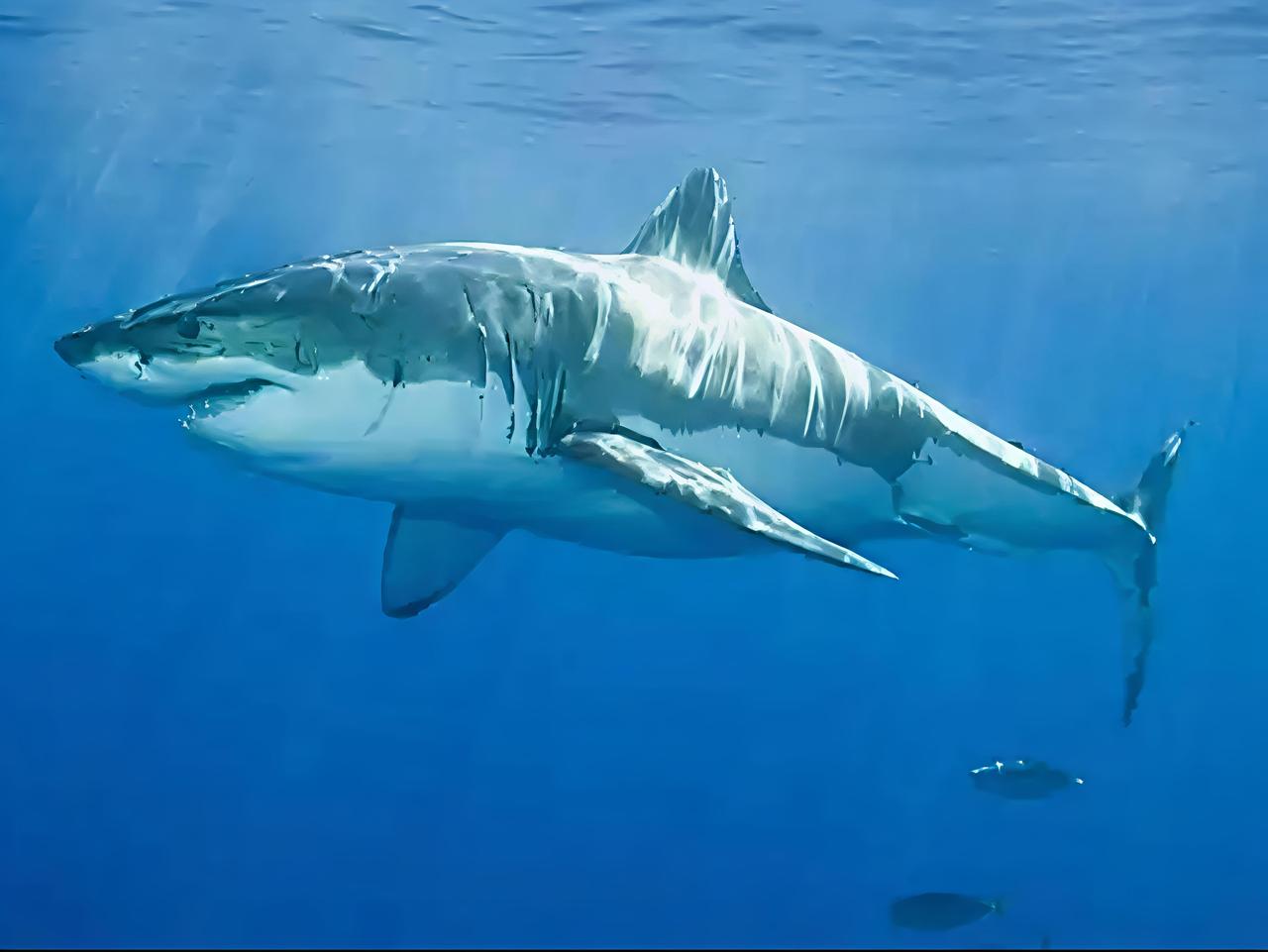 我问我爸中东为啥从我记事就没消停过？
我爸（他是高中生物老师）说他们那的里海面积