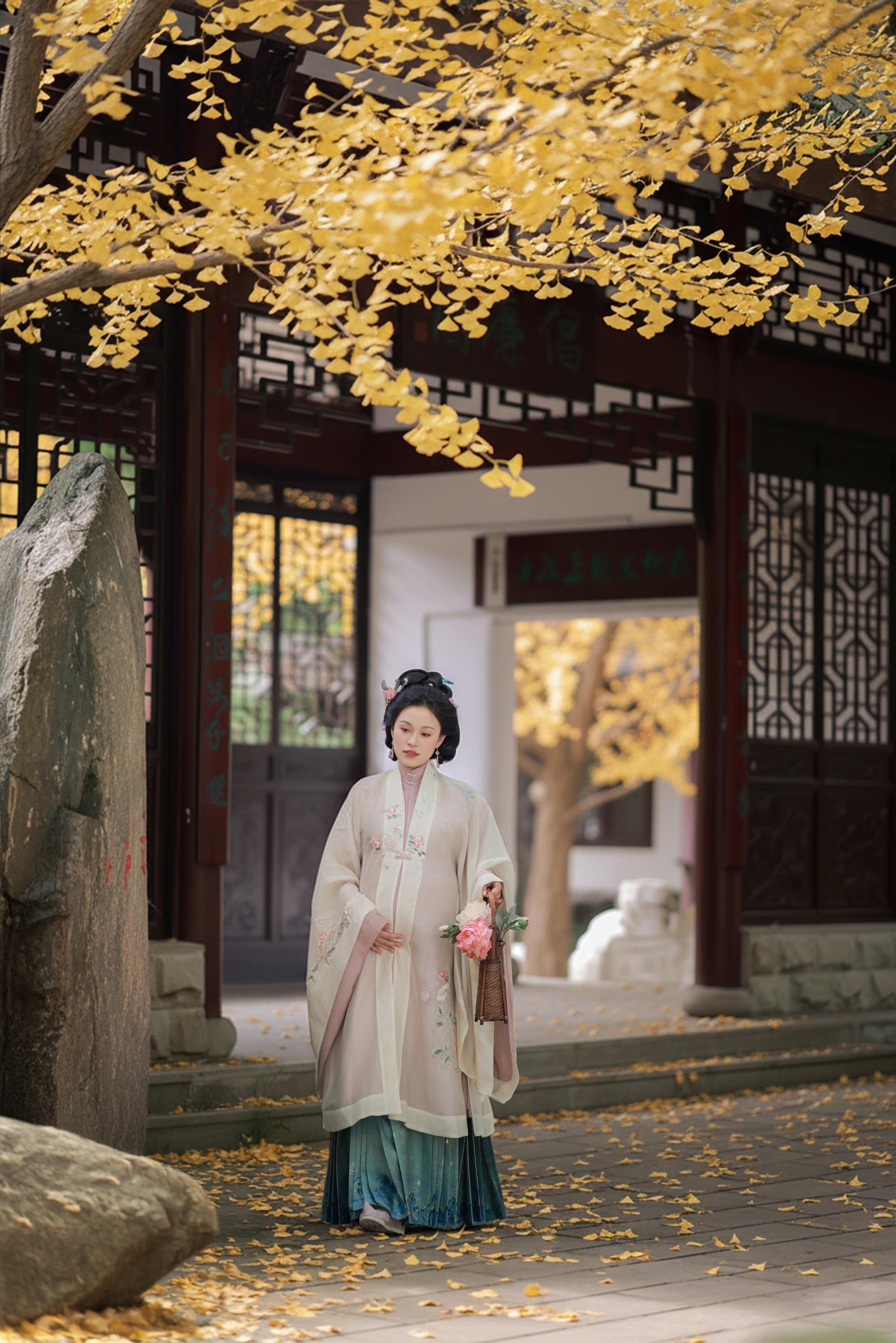 重庆的秋天到了，准备好拍银杏和枫叶了嘛～