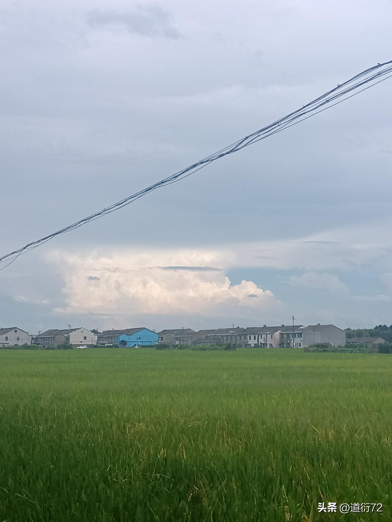 何为社会成本？以古代王朝为例，战争频繁，兵马未动，粮草先行。但在全凭人力、畜力运