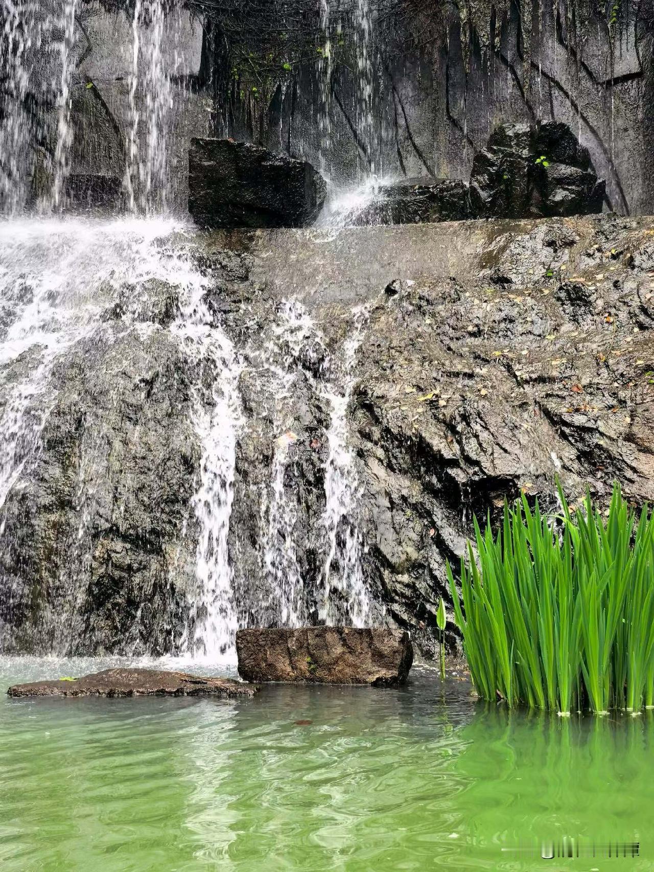 春日生活打卡季春日的清明节，打卡长沙岳麓山！小雨淅淅沥沥，麓山爱晚亭旁花团锦簇，