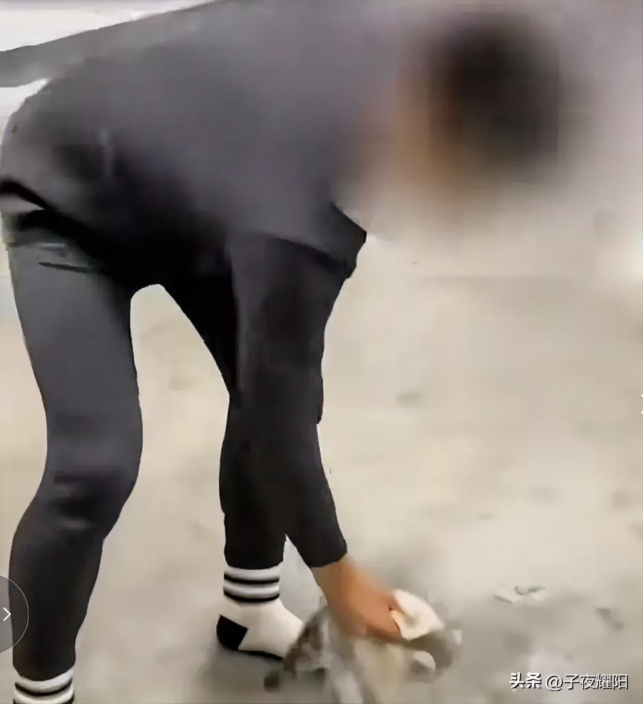 作为三观正统的教官更应该懂得善待生命，可他仍将鲜活的生命视如粪土。某地一教官在查