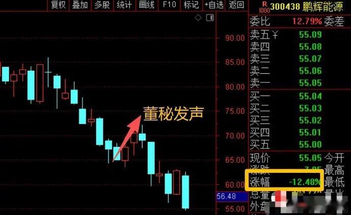 鹏辉能源董秘前几天批评了一下量化，最近股票被砸成狗了！这到底只是巧合，还是量化真