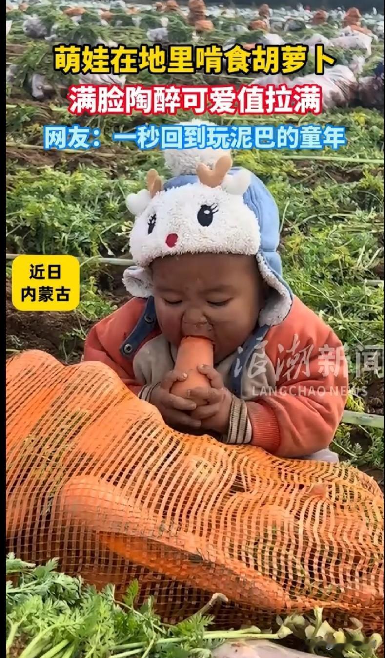 “家人们快看这个内蒙古萌娃！在胡萝卜地里啃胡萝卜啃得那叫一个陶醉，满脸泥点子也挡