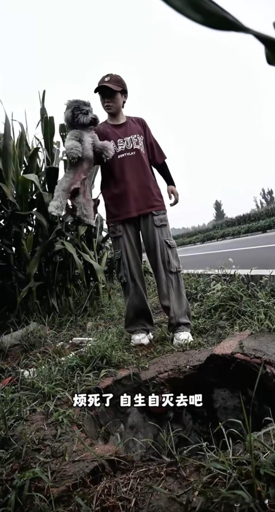 小狗因随地大小便，惹得主人生气不已，被狠心丢进了一口荒废的枯井。一只流浪狗路过时